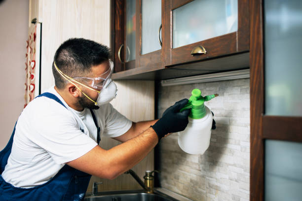 Best Rat Extermination Near Me  in Quincy, MI