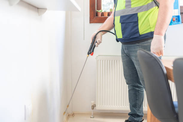 Best Wasp Removal Services  in Quincy, MI