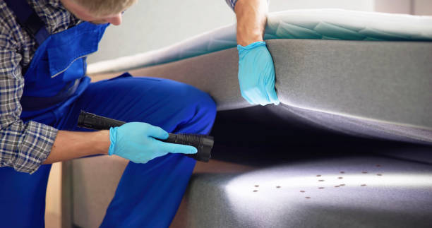 Best Pest Inspection Near Me  in Quincy, MI