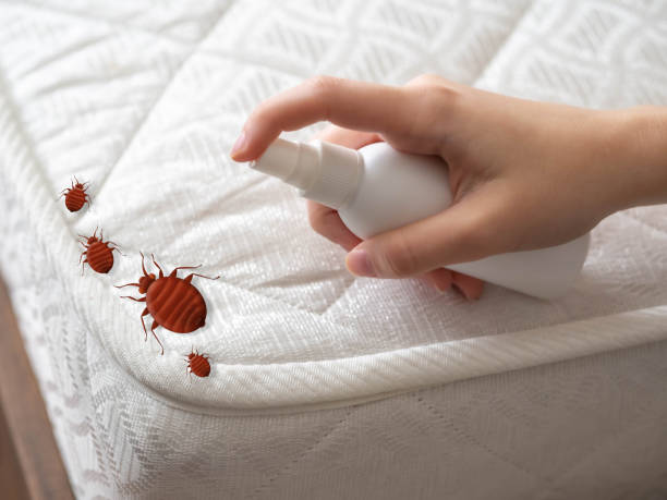Best Pest Prevention Services  in Quincy, MI