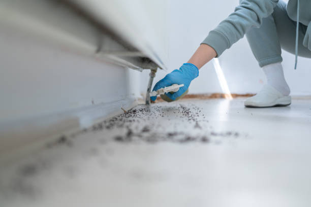 Best Emergency Pest Control  in Quincy, MI
